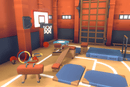 Gym Set - Proto Series