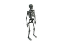 Character - Base Mesh Skeleton - Low Poly