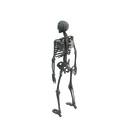 Character - Base Mesh Skeleton - Low Poly 3D Model
