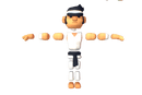 Karateka Lee - Proto Series