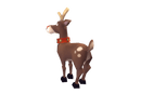 Rudolph Reindeer