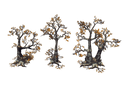 Dead Tree Set