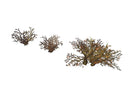Dead Tree Set