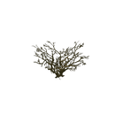 Props - Low Poly Dead Tree Pack