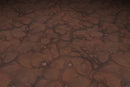 Grass Dirt Leaves - Hand Painted Texture Pack 12