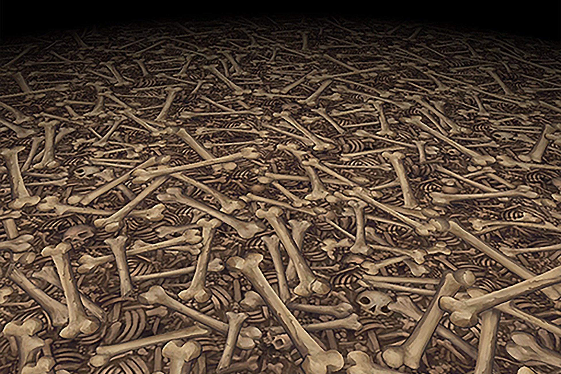 8001 Wood Panel Rectangle - Skulls, Pile 2 – HumanTreeRobot