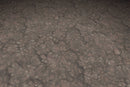 Stone Dirt Bones - Hand Painted Texture Pack 17