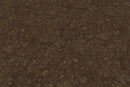 Wheat Poppy Lavender Flowers - Hand Painted Texture Pack 22