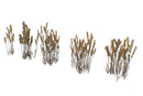 Wheat Poppy Lavender Flowers - Hand Painted Texture Pack 22