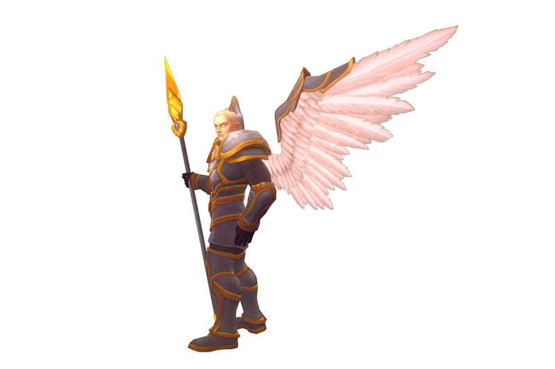 Angelic Male Warrior