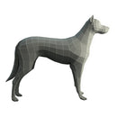 Character - Base Mesh Dog
