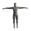 Character - Base Mesh Male - Low Poly 3D Model