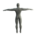 Character - Base Mesh Male - Low Poly 3D Model