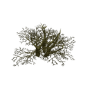 Props - Low Poly Dead Tree Pack