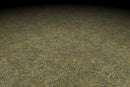 Grass Brown Dirt Ground Hand Painted Texture v2