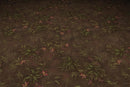 Grass Dirt Leaves - Hand Painted Texture Pack 12