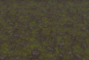 Grass Dirt Leaves - Hand Painted Texture Pack 21