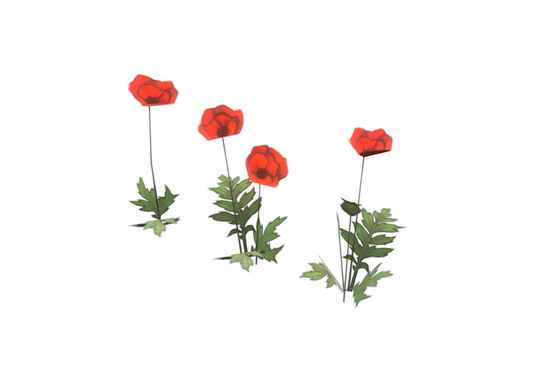 Wheat Poppy Lavender Flowers - Hand Painted Texture Pack 22