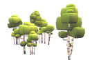 Birch Trees - Proto Series